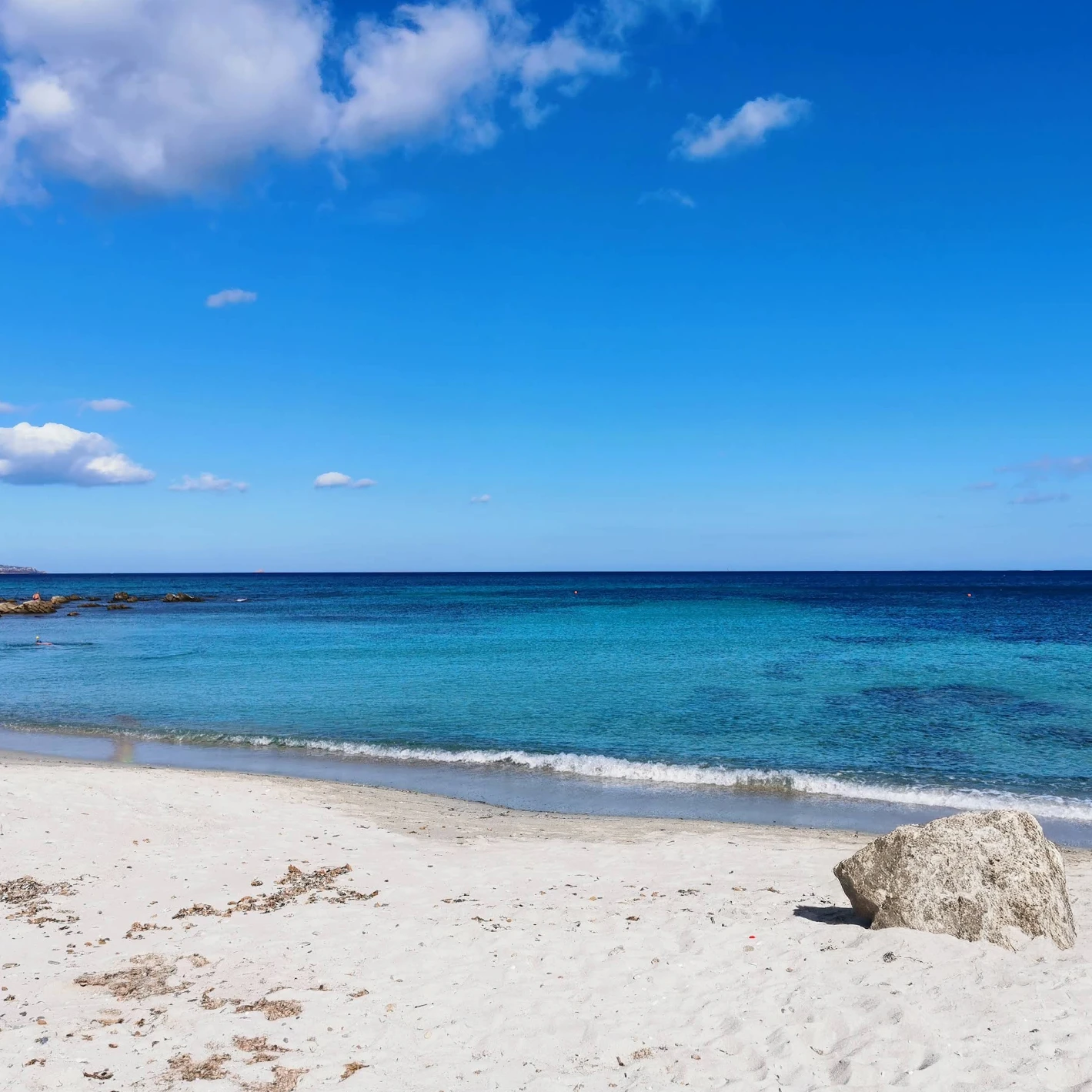 Screenshot 2026 02 20 123141