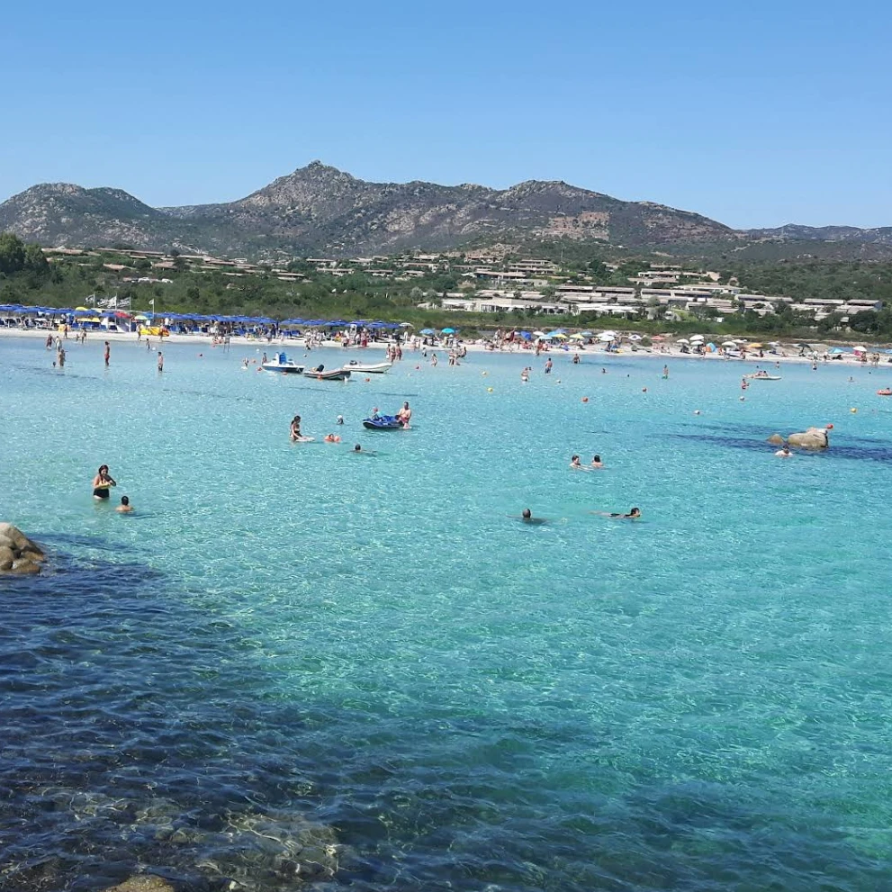 Screenshot 2026 02 20 123355