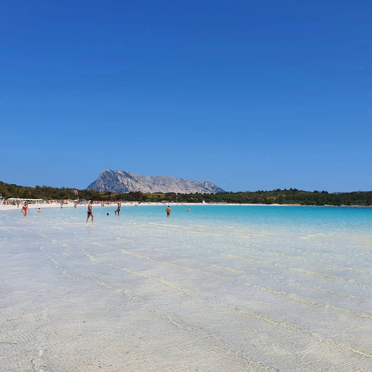 Screenshot 2026 02 20 123436