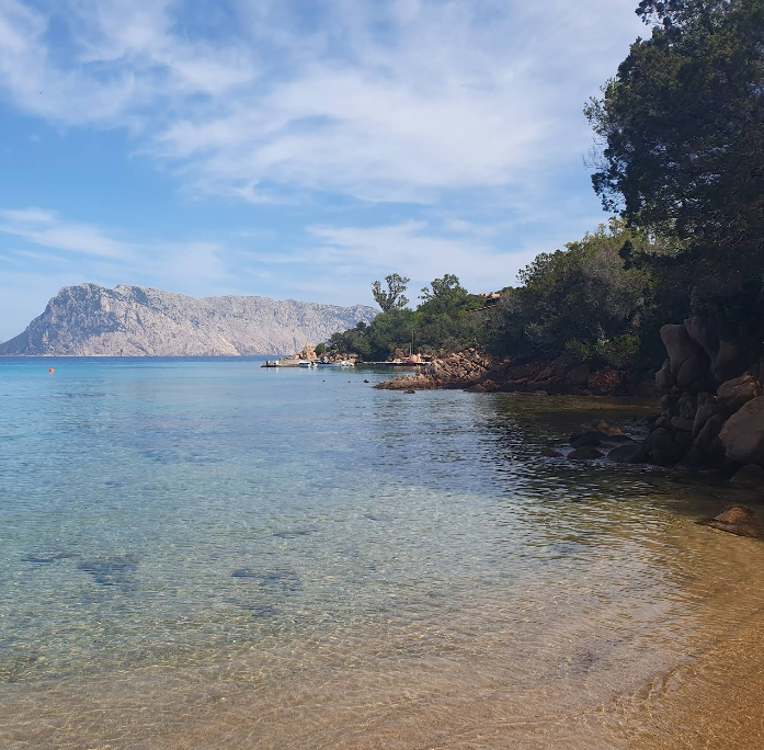 Screenshot 2026 03 17 124607