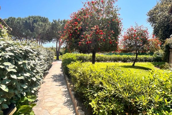 20686634-639f-4a36-a1d8-38876ebe0580