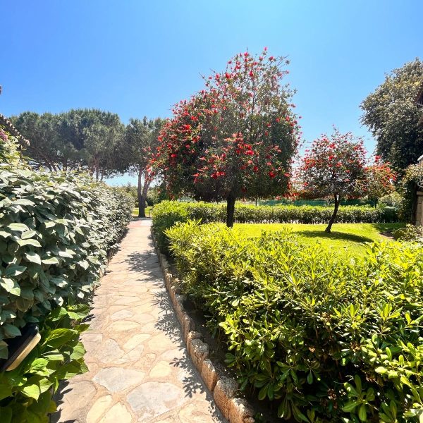 20686634-639f-4a36-a1d8-38876ebe0580