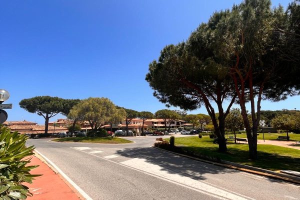 20a93e20-1beb-4dc9-846c-d3b2b2ac19e2