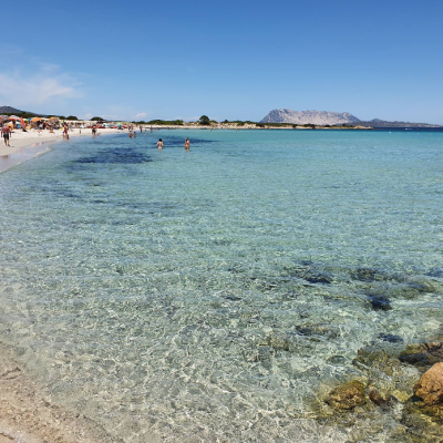 Screenshot 2026-03-17 124100