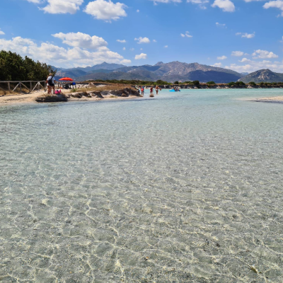 Screenshot 2026-03-17 124151