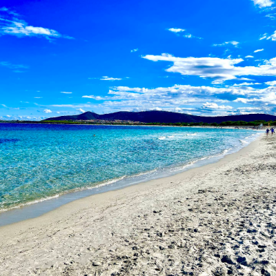 Screenshot 2026-03-17 124308