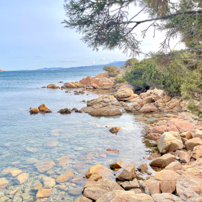 Screenshot 2026-03-17 124351