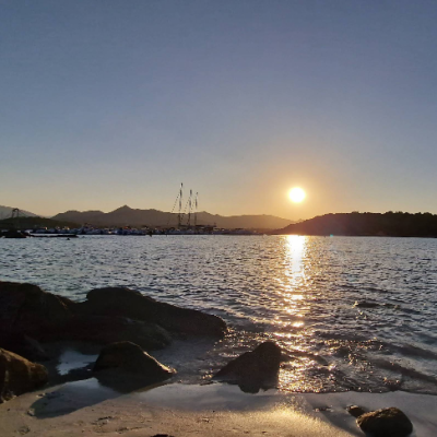 Screenshot 2026-03-17 124457