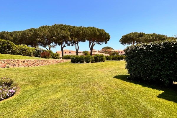 bdf6b239-9fef-463b-8876-f74d15a4ab7c