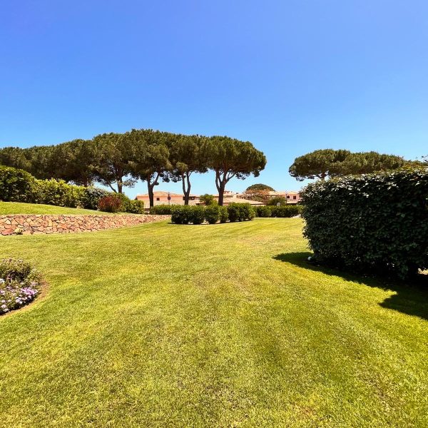 bdf6b239-9fef-463b-8876-f74d15a4ab7c