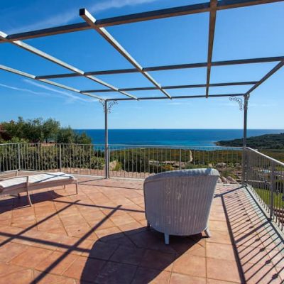 d956d11f-35bc-40a5-aade-f7a3be609413